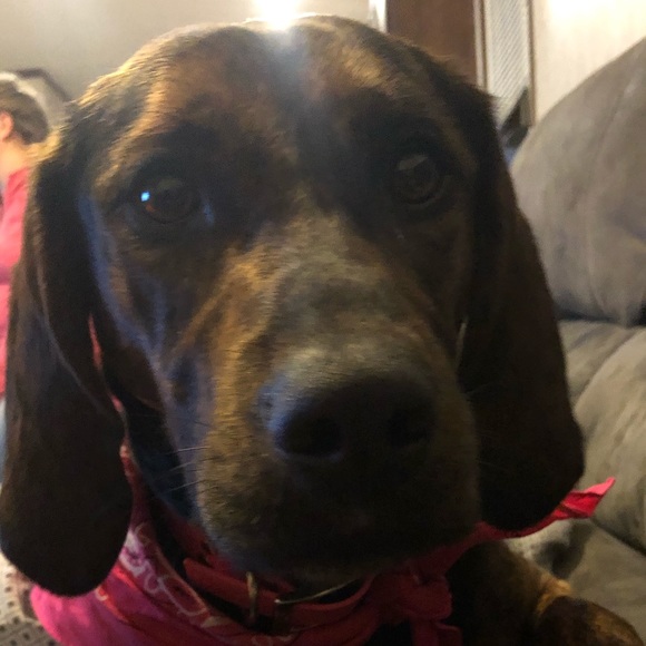 Meet your Posher, James - Picture 1 of 1